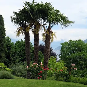 Bellagio View Hébergement de vacances Oliveto Lario